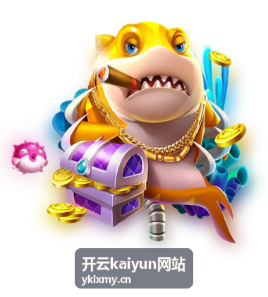 开云kaiyun网站平台入门指南封面图