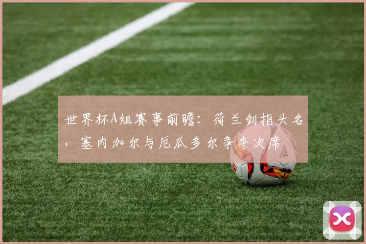 世界杯A组赛事前瞻：荷兰剑指头名，塞内加尔与厄瓜多尔争夺次席
