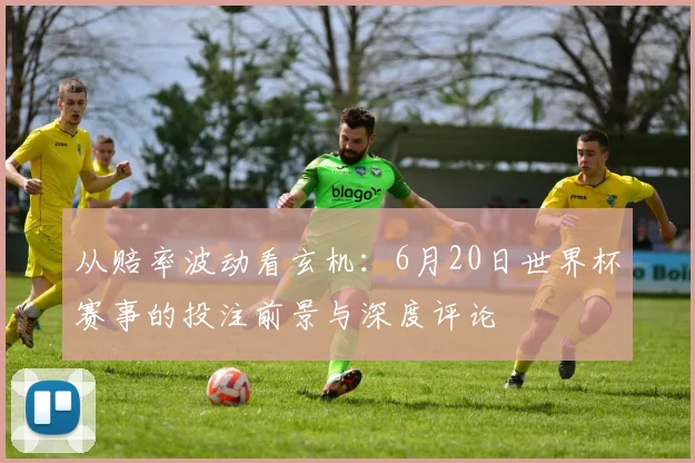 从赔率波动看玄机：6月20日世界杯赛事的投注前景与深度评论